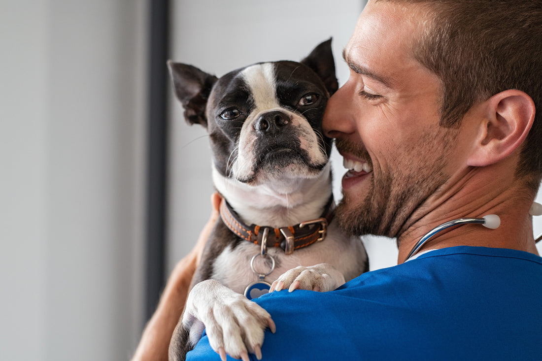 World Veterinary Day May Be Over, But It’s Never Too Late To Say Thank You