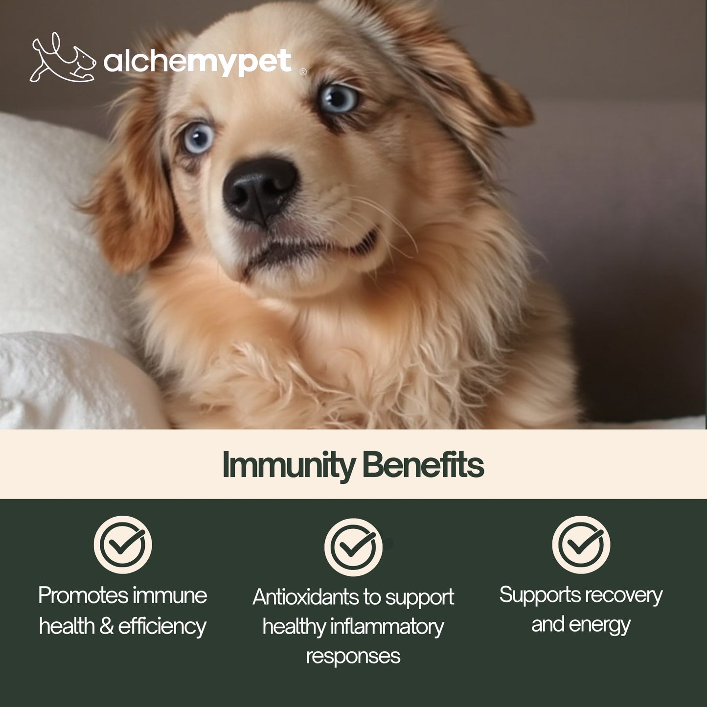 IMMUNITY - Advanced Natural Defense