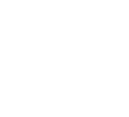 our commitment icons