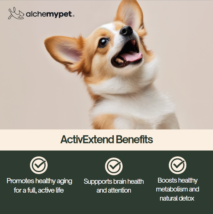 ACTIVEXTEND - All-in-One Longevity
