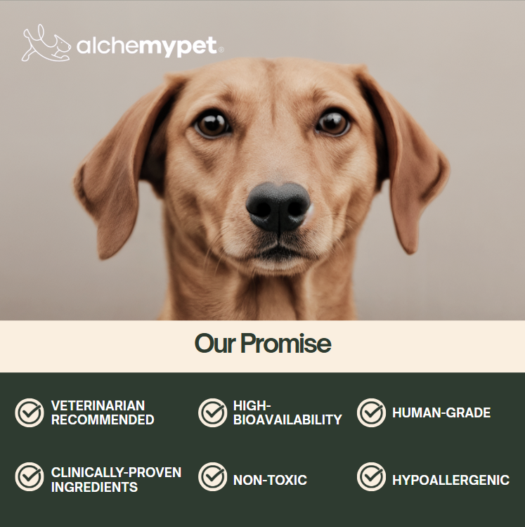 ACTIVEXTEND - All-in-One Longevity