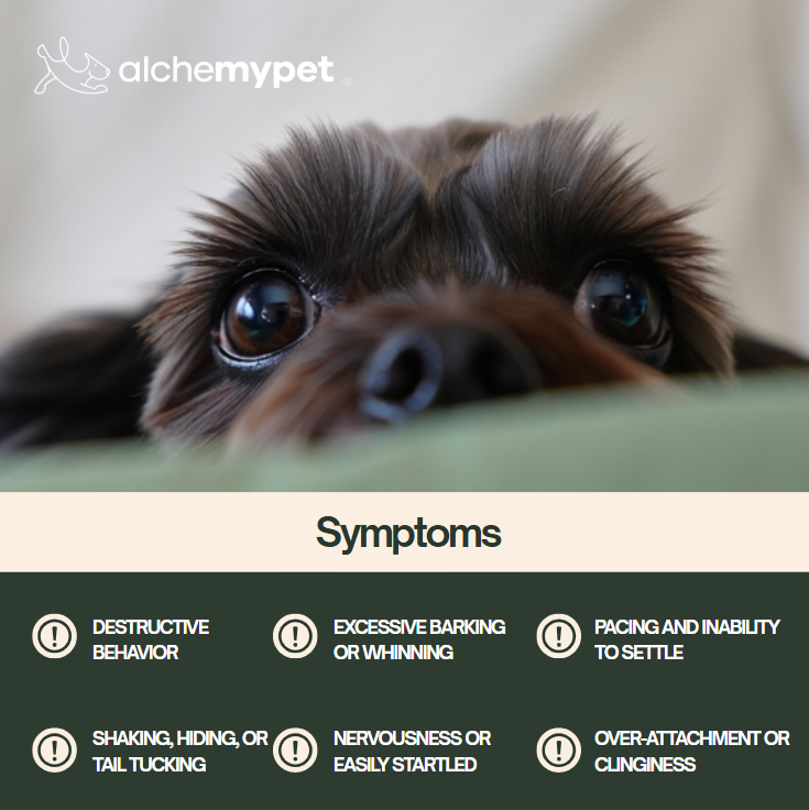 CALMING - Advanced Anxiety Relief