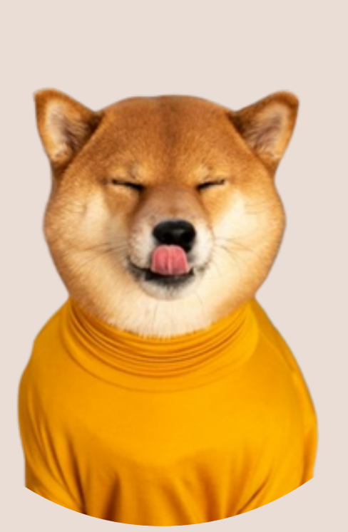 Medium Dog
