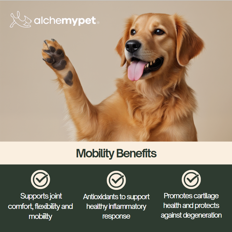 MOBILITY - Advanced Joint Support