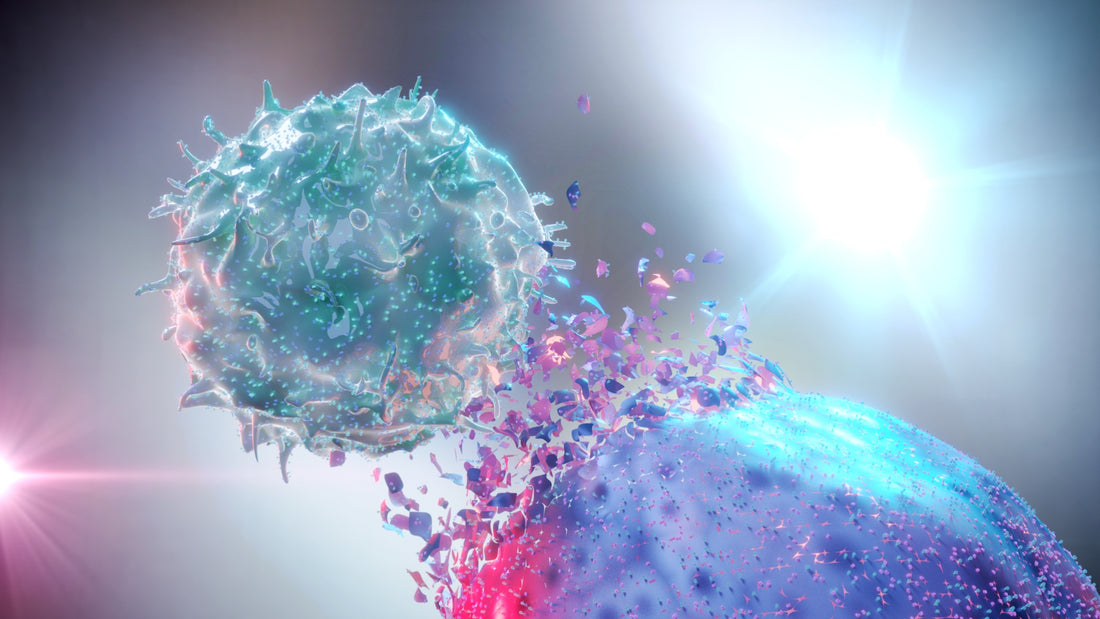 Blog posts Boosting Natural Killer Cell