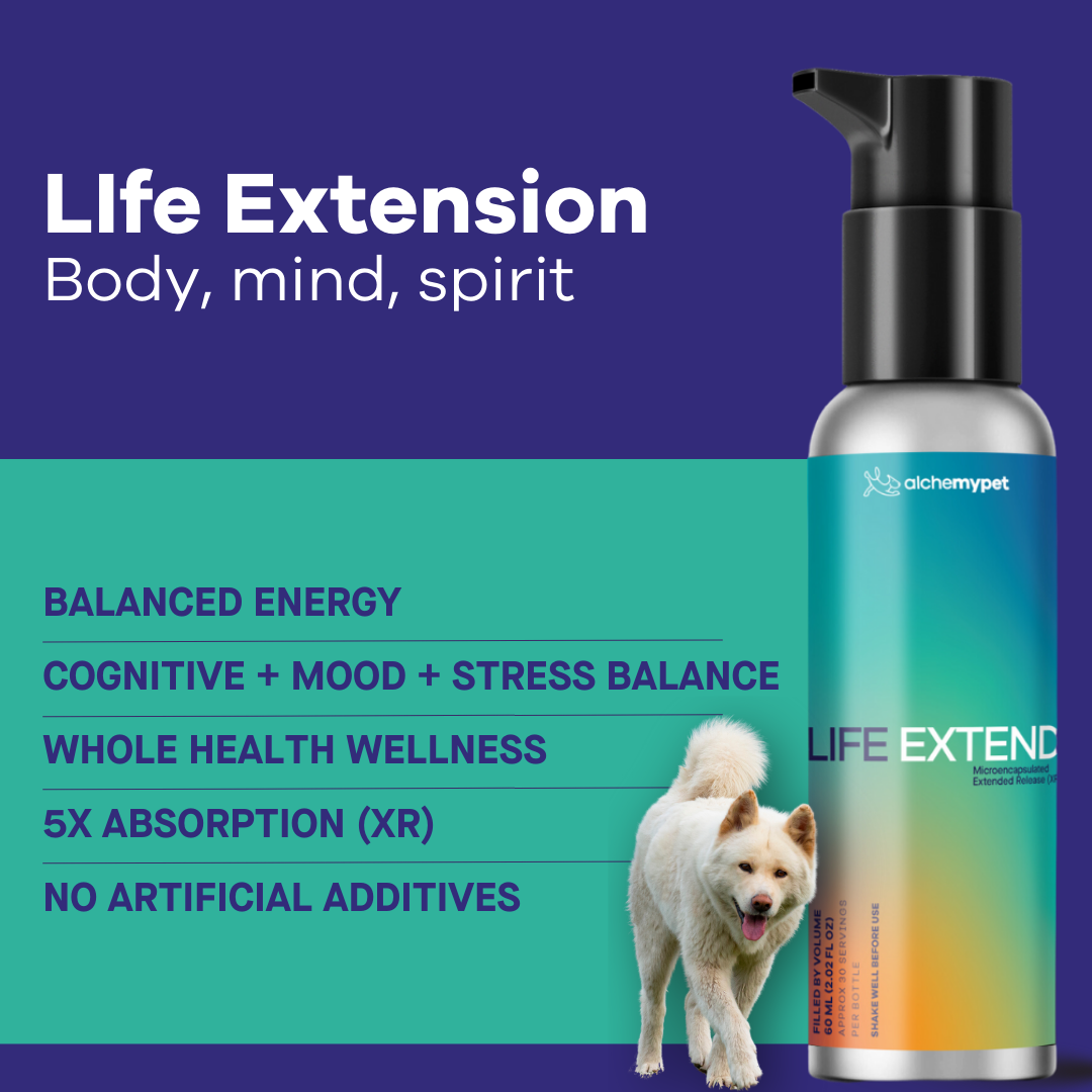 General Life Extension