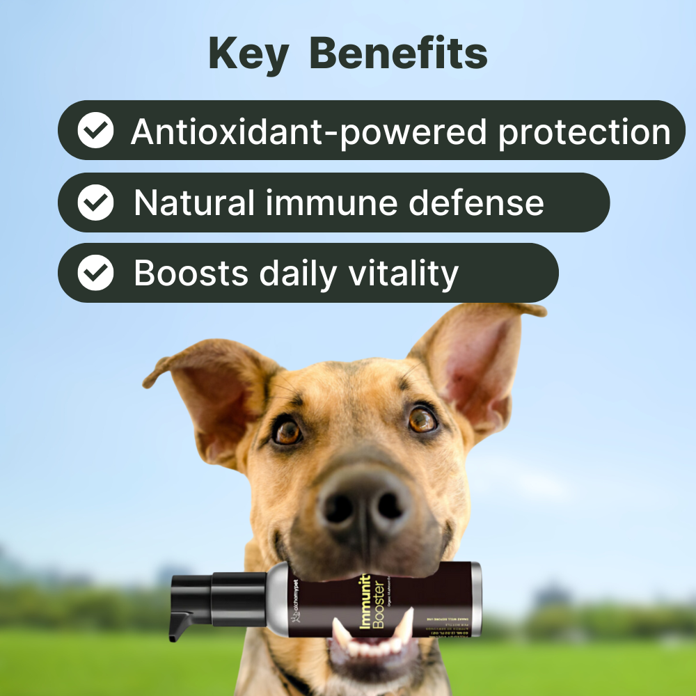 Immune Support - Liquid Health Topper