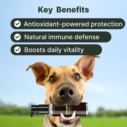 Immune Support - Liquid Health Topper