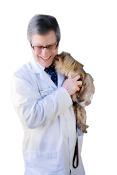 Dr. David A. Gordon, DVM