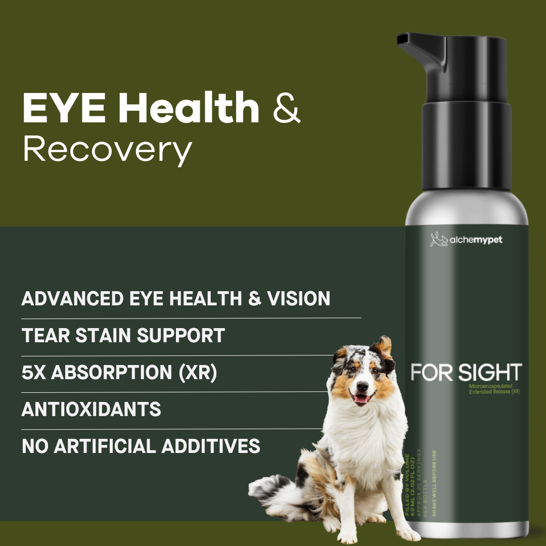 Eye Health - Dog Food Topper