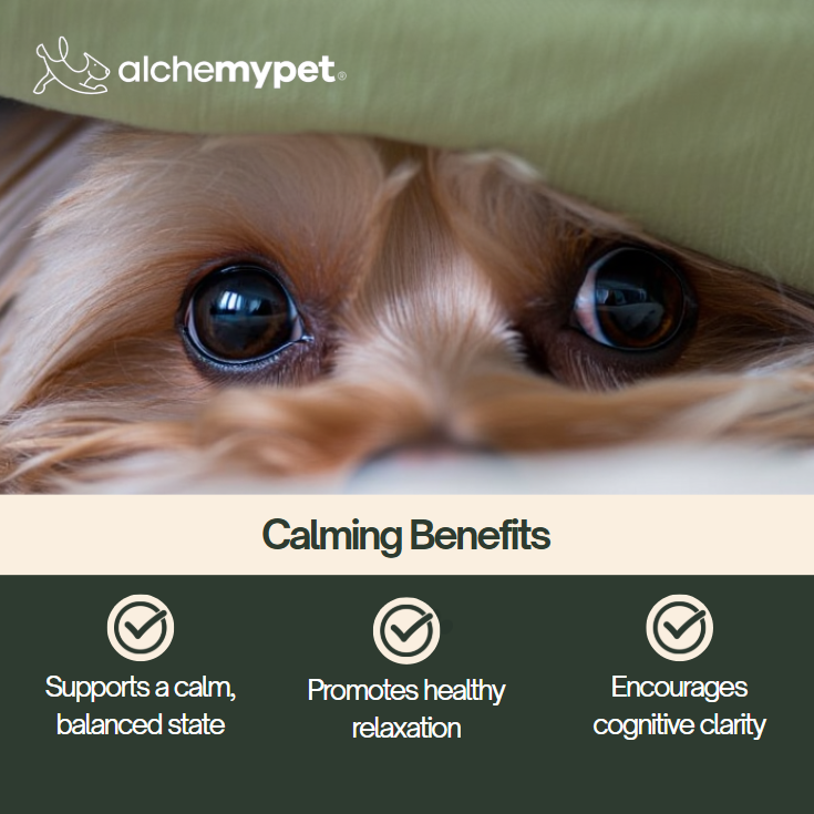 CALMING - Advanced Anxiety Relief