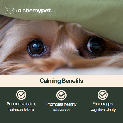 CALMING - Advanced Anxiety Relief